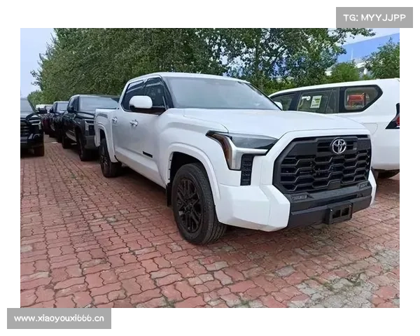 TOYOTA柴油引擎+四驱,全尺寸皮卡的王牌,2023款坦途实车真霸气 TOYOTA柴油引擎+四驱,全尺寸皮卡的王牌,2023款坦途实车真霸气