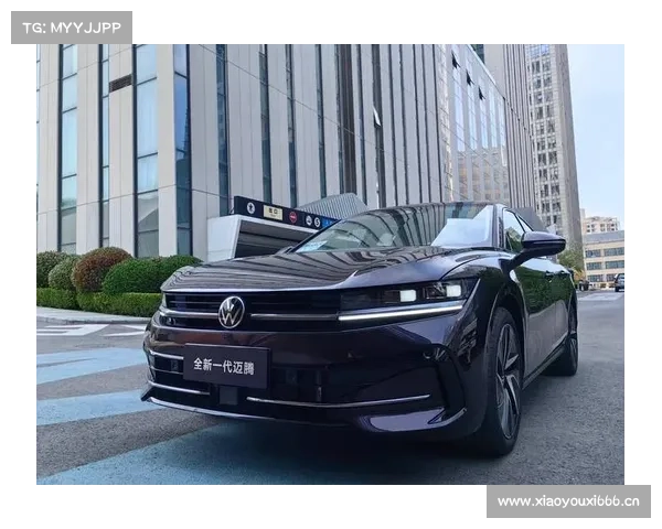 全新一代迈腾的安全实力远不止于此 全新一代迈腾的安全实力远不止于此